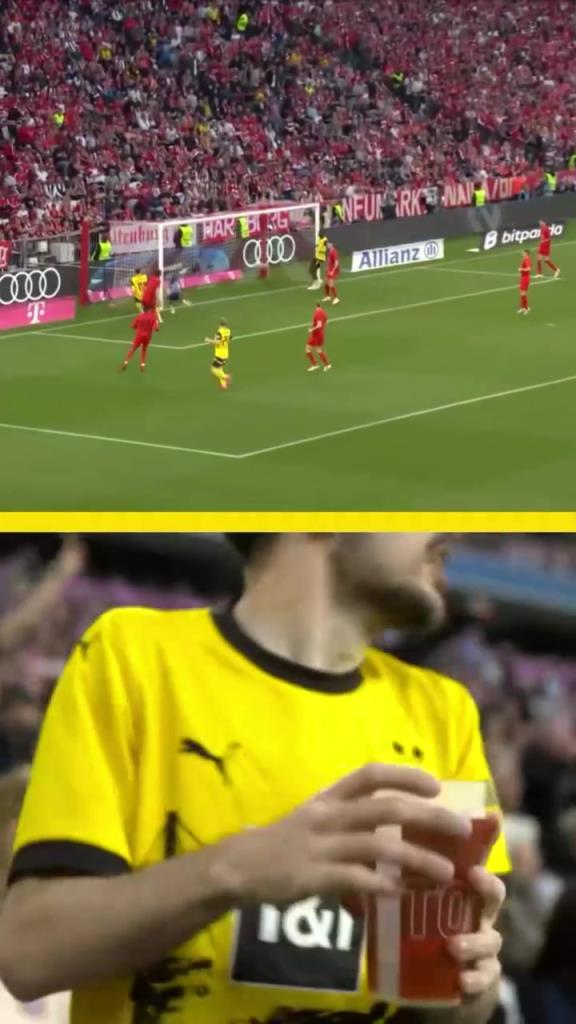 勇者無(wú)懼！這是真多特球迷！在拜仁球迷區(qū)一個(gè)人肆意慶祝！